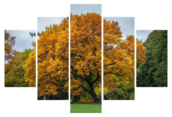 Obraz stromu (150x105 cm)