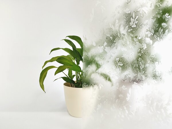 Priesvitná fólia na okno Lístky - šírka 40 cm