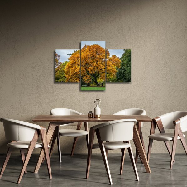 Obraz stromu (90x60 cm)