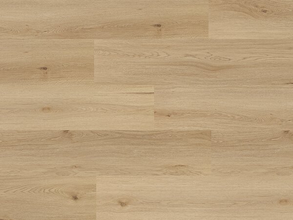 FLOOR FOREVER XL large click rigid Dub mont blanc 1051141190002 - 2.08 balení