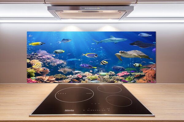 Panel do kuchyne Koralový útes pl-pksh-125x50-f-161347812