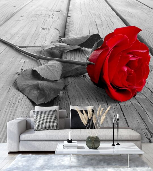 Fototapeta Červená ruža na starých doskách Materiál: Vliesová, Rozmery: 100 x 100 cm