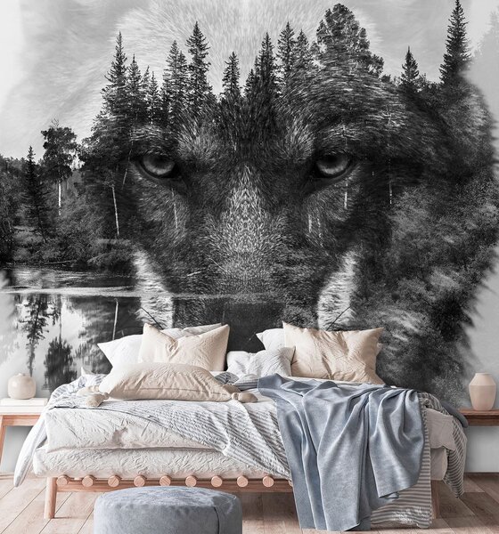Fototapeta Vlk odrážajúci sa na hladine jazera Materiál: Vliesová, Rozmery: 100 x 100 cm