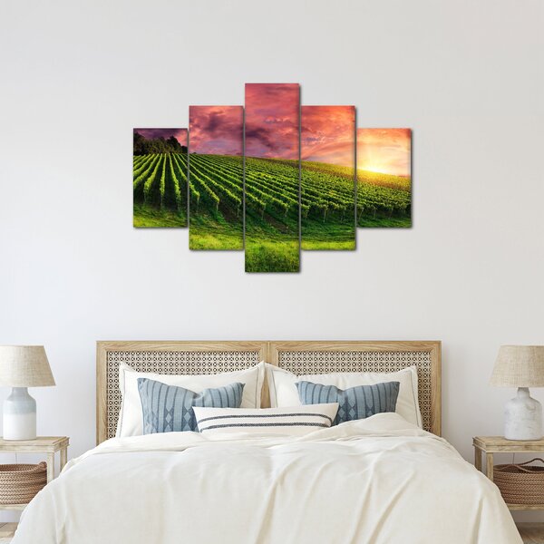 Obraz vinice s farebným nebom (150x105 cm)