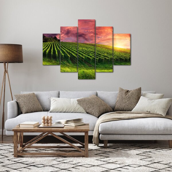 Obraz vinice s farebným nebom (150x105 cm)
