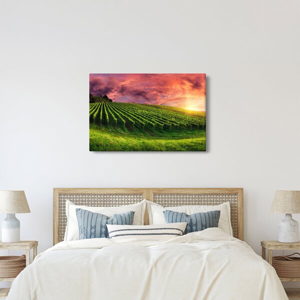 Obraz vinice s farebným nebom (90x60 cm)