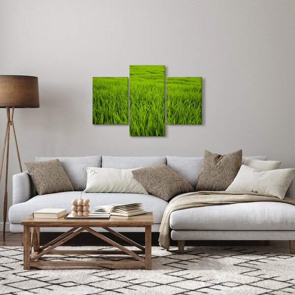 Obraz trávy (90x60 cm)