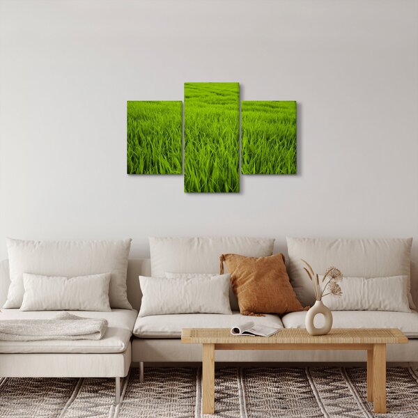 Obraz trávy (90x60 cm)