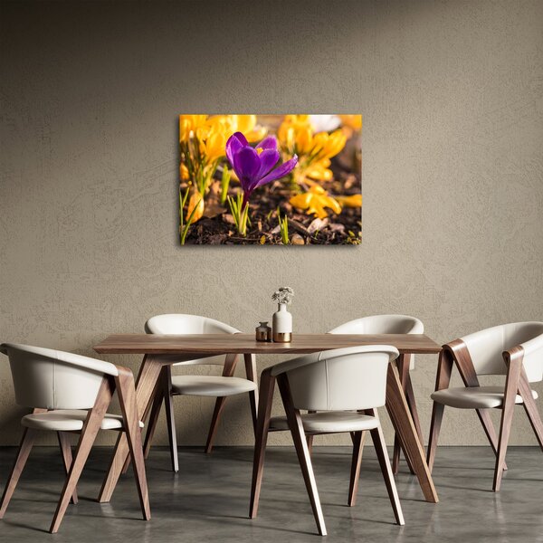Obraz fialovej kvetiny (70x50 cm)