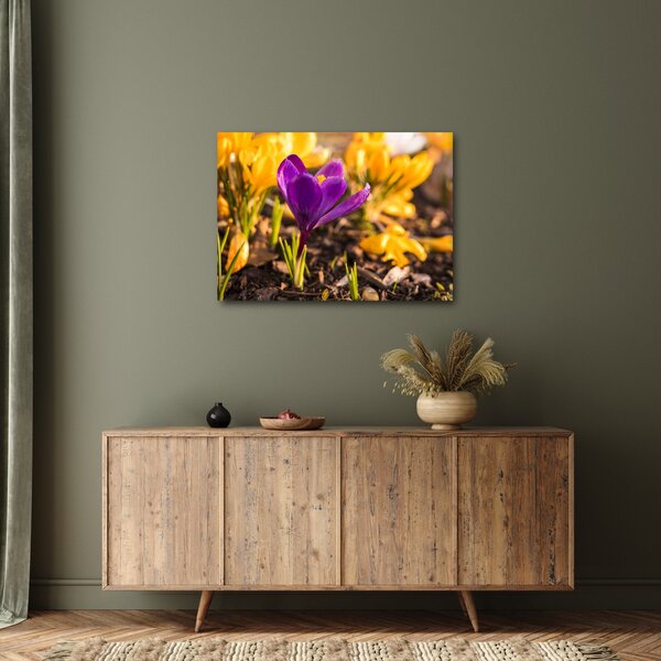 Obraz fialovej kvetiny (70x50 cm)