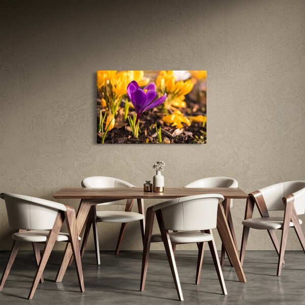 Obraz fialovej kvetiny (90x60 cm)