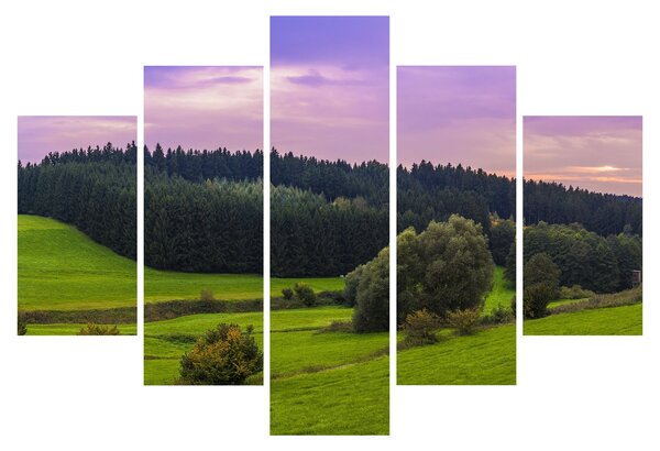 Obraz lúky (150x105 cm)