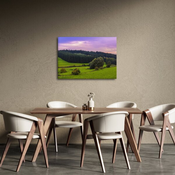 Obraz lúky (70x50 cm)