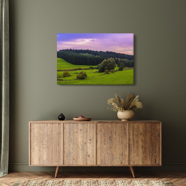 Obraz lúky (90x60 cm)
