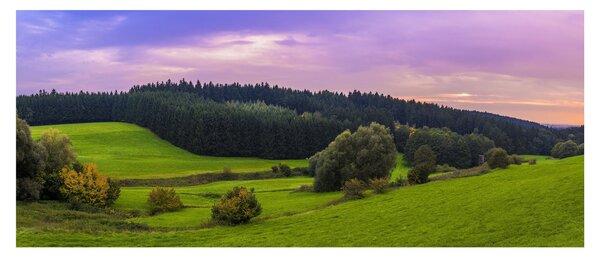 Obraz lúky (120x50 cm)
