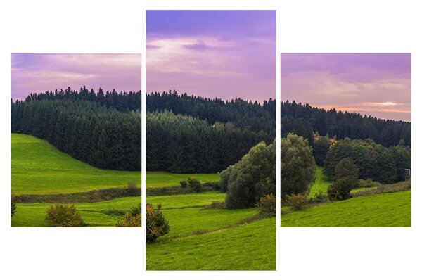 Obraz lúky (90x60 cm)