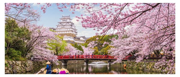 Obraz japonskej čerešne (120x50 cm)