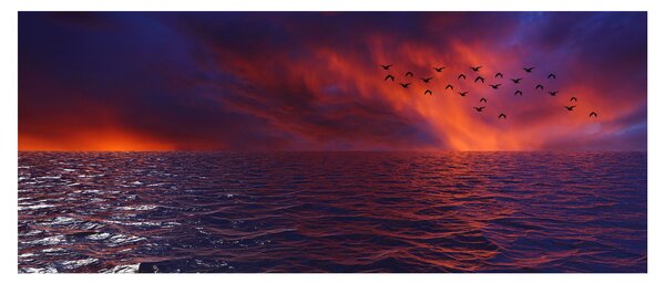 Obraz mora s vtákmi (120x50 cm)