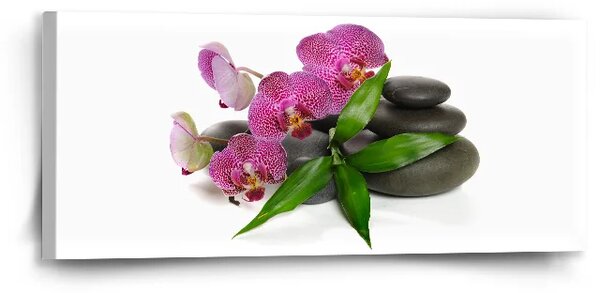 Sablio Obraz Orchidea a kamene - 110x50 cm