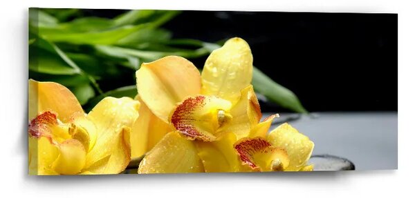 Sablio Obraz Žlté Orchidey - 110x50 cm