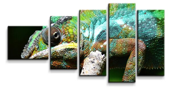 Sablio Obraz - 5-dílný Chameleón - 100x60 cm