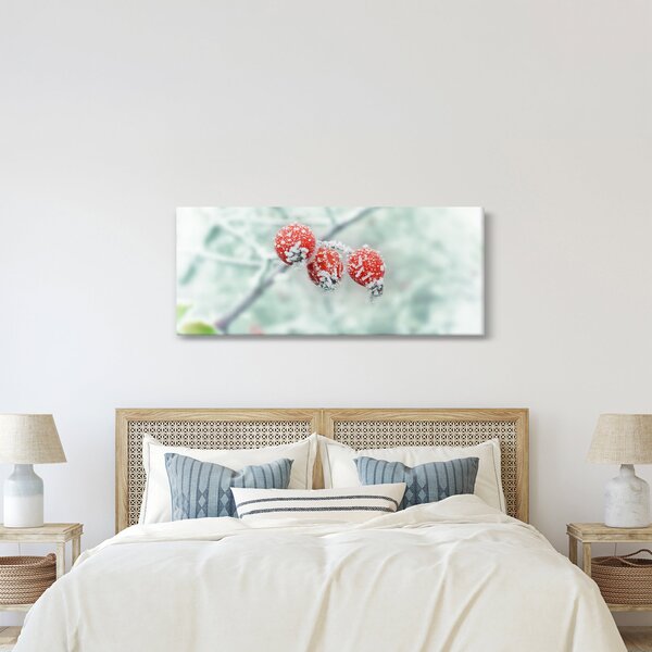 Obraz zmrznutých šípok (120x50 cm)