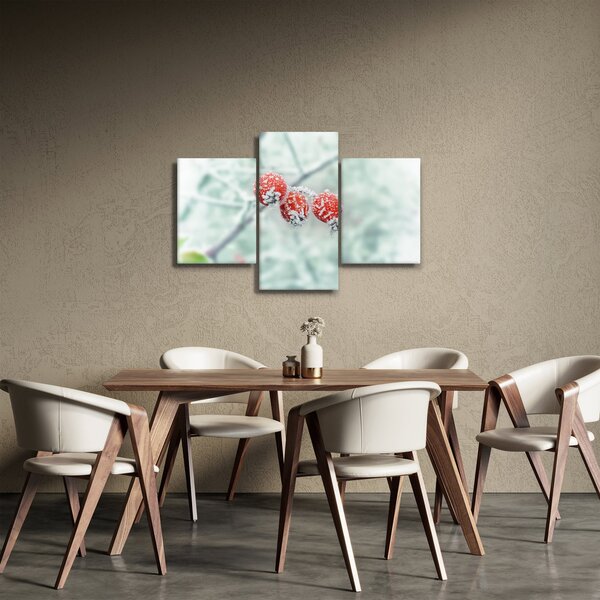 Obraz zmrznutých šípok (90x60 cm)