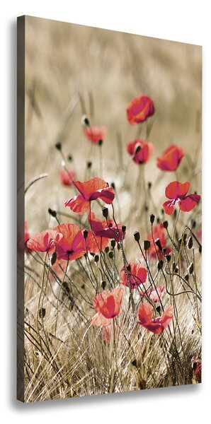 Foto obraz canvas Poľné kvety pl-oc-70x140-f-66291805