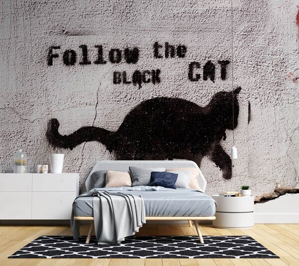 Fototapeta Čierna mačka - sledovať čiernu mačku, betón Materiál: Vliesová, Rozmery: 200 x 140 cm
