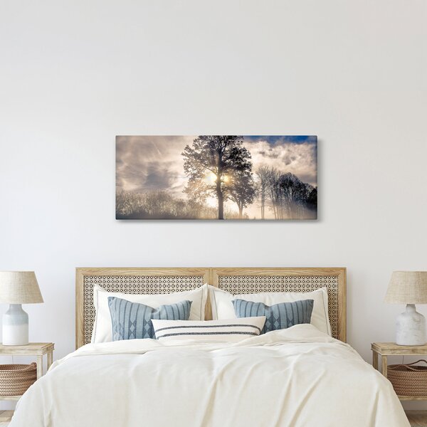 Obraz stromu v hmle (120x50 cm)