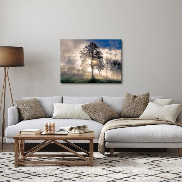 Obraz stromu v hmle (70x50 cm)