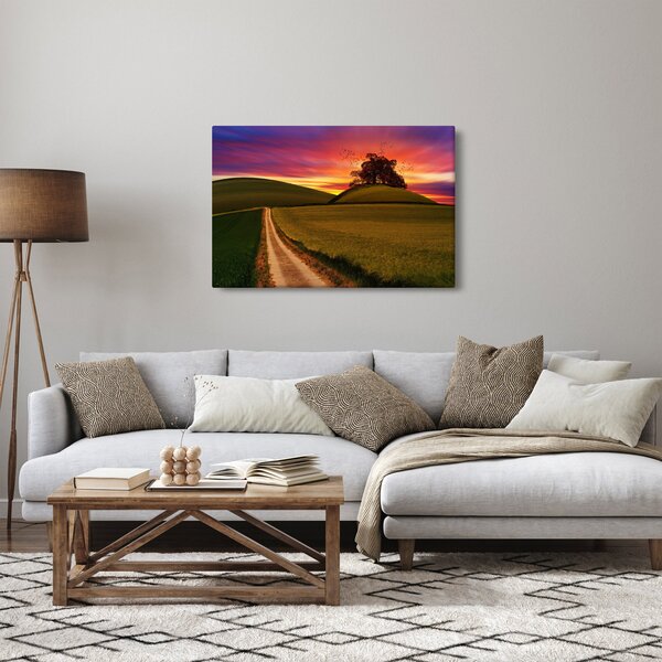 Obraz poľa a farebného neba (90x60 cm)