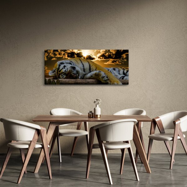 Obraz spiaceho tigra (120x50 cm)