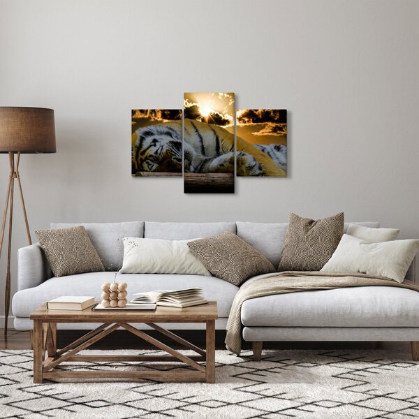 Obraz spiaceho tigra (90x60 cm)