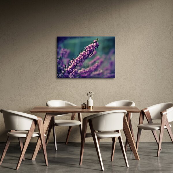 Obraz fialovej kvetiny (70x50 cm)