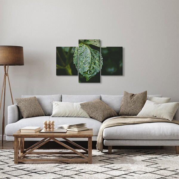 Obraz - kvapky na liste (90x60 cm)