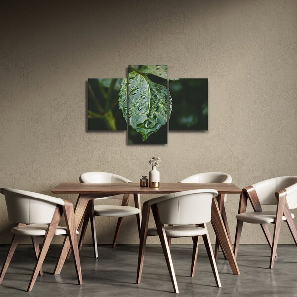 Obraz - kvapky na liste (90x60 cm)