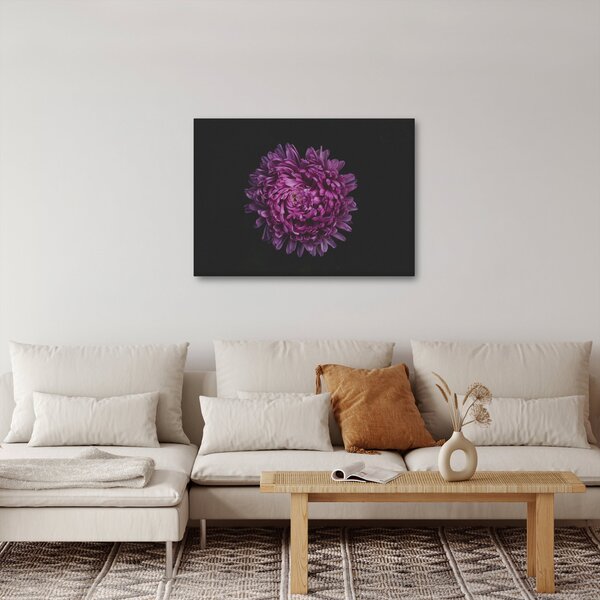 Obraz fialovej kvetiny (70x50 cm)