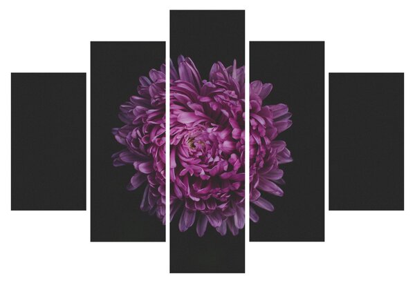 Obraz fialovej kvetiny (150x105 cm)