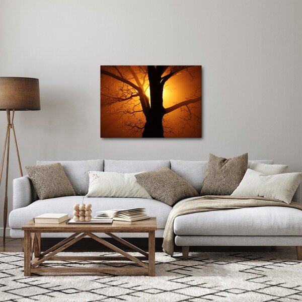 Obraz stromu pri západe slnka (70x50 cm)
