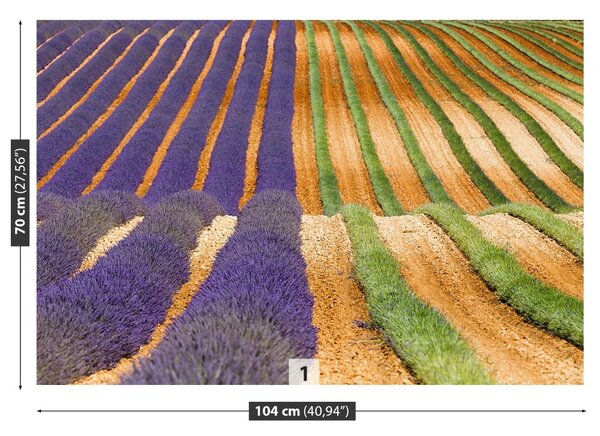 Fototapeta Vliesová Provence francúzsko 104x70 cm