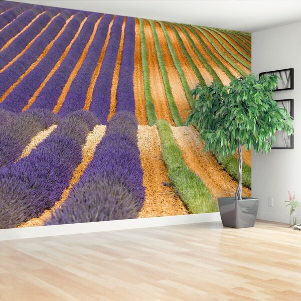 Fototapeta Vliesová Provence francúzsko 104x70 cm