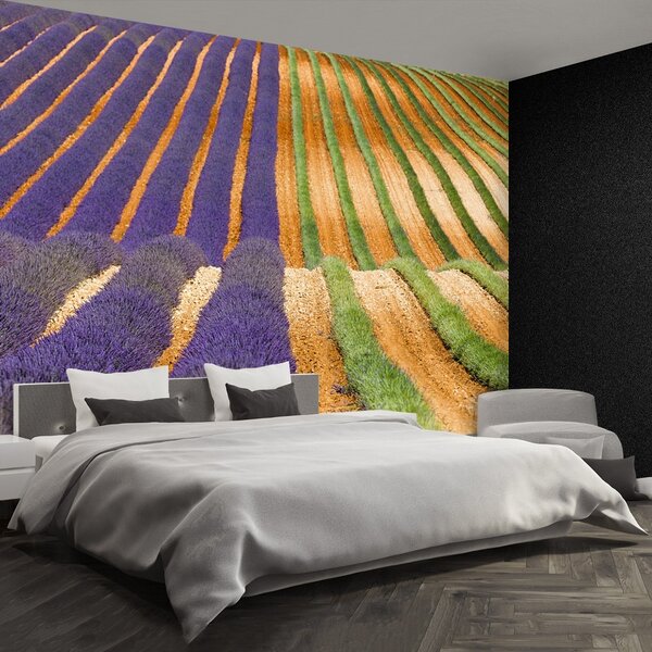 Fototapeta Vliesová Provence francúzsko 104x70 cm