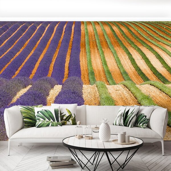 Fototapeta Vliesová Provence francúzsko 104x70 cm