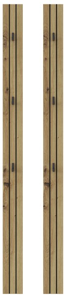 VEŠIAKOVÝ PANEL, čierna, dub artisan, 13/160/1,6 cm Xora - Vešiakové steny, Online Only