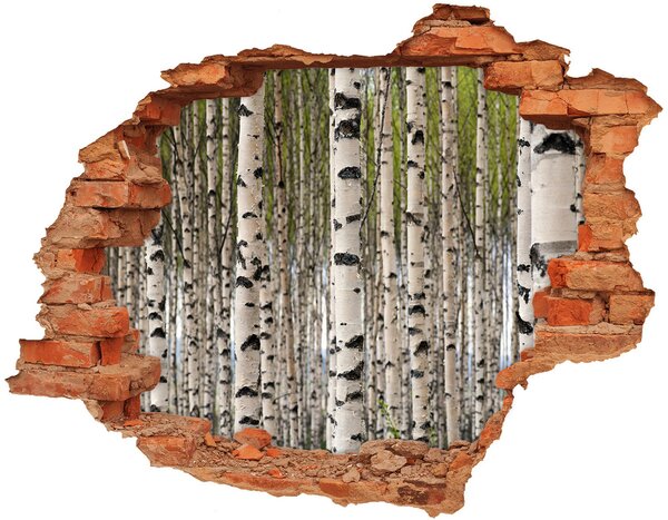 Fotoobraz diera na stenu Brezového lesa nd-c-31867188