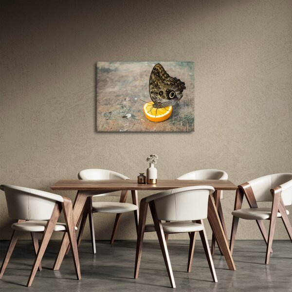 Obraz motýľa (70x50 cm)