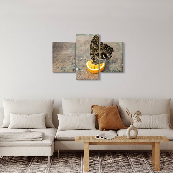 Obraz motýľa (90x60 cm)