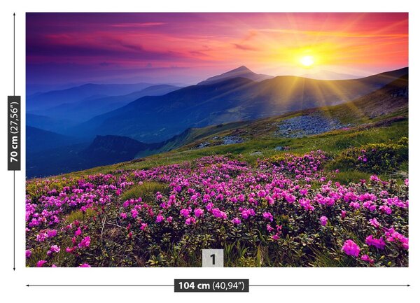 Fototapeta Vliesová Rhododendron kvety 104x70 cm