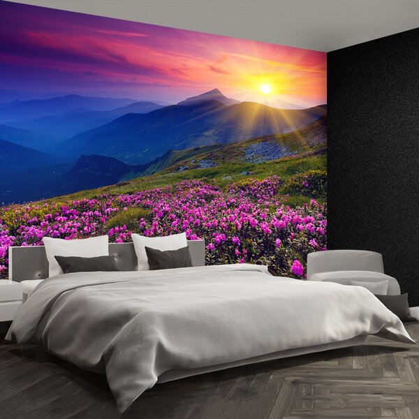 Fototapeta Vliesová Rhododendron kvety 104x70 cm